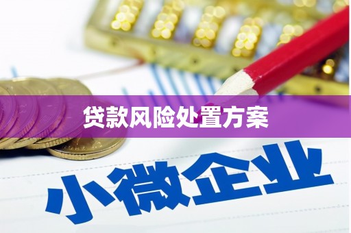开江贷款风险处置方案