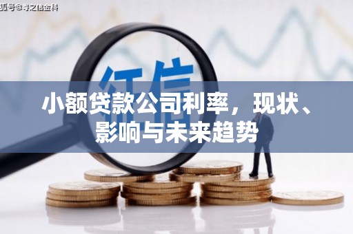 开江小额贷款公司利率，现状、影响与未来趋势