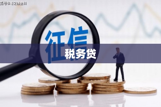 开江税务贷
