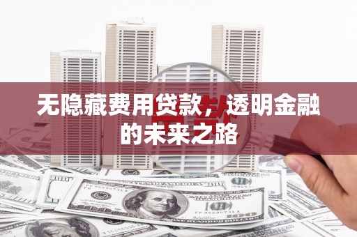 开江无隐藏费用贷款，透明金融的未来之路
