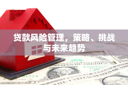 开江贷款风险管理，策略、挑战与未来趋势