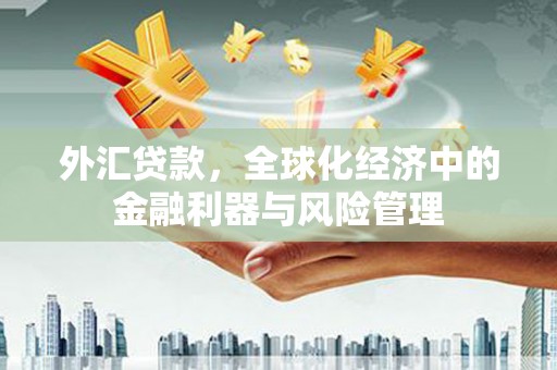 开江外汇贷款，全球化经济中的金融利器与风险管理