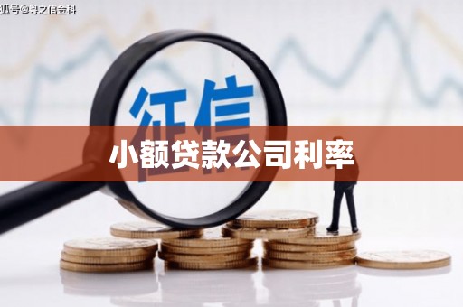 开江小额贷款公司利率