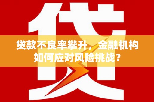 开江贷款不良率攀升，金融机构如何应对风险挑战？