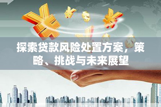 开江探索贷款风险处置方案，策略、挑战与未来展望