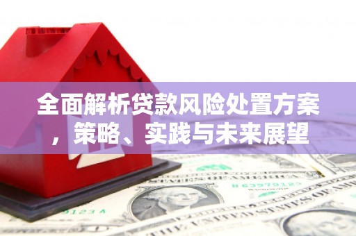 开江全面解析贷款风险处置方案，策略、实践与未来展望