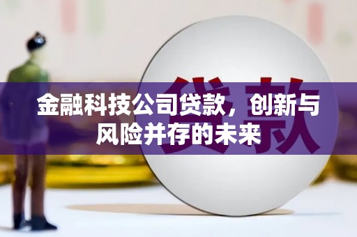 开江金融科技公司贷款，创新与风险并存的未来