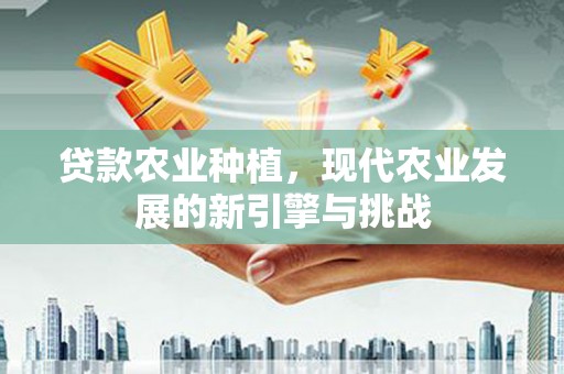 开江贷款农业种植，现代农业发展的新引擎与挑战