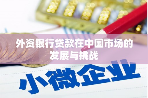 开江外资银行贷款在中国市场的发展与挑战