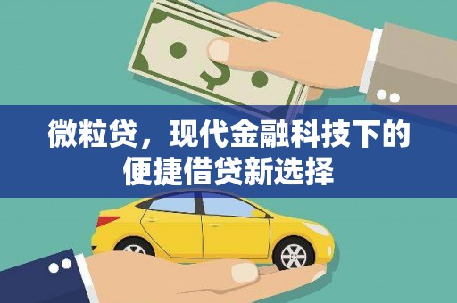开江微粒贷，现代金融科技下的便捷借贷新选择