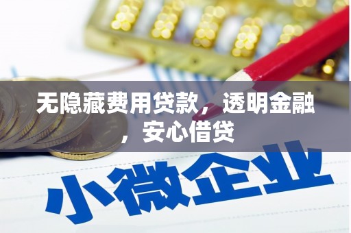 开江无隐藏费用贷款，透明金融，安心借贷