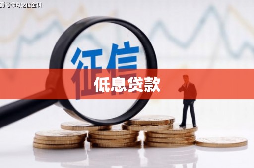 开江低息贷款