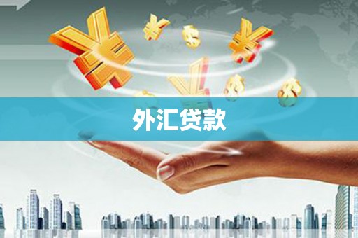 开江外汇贷款