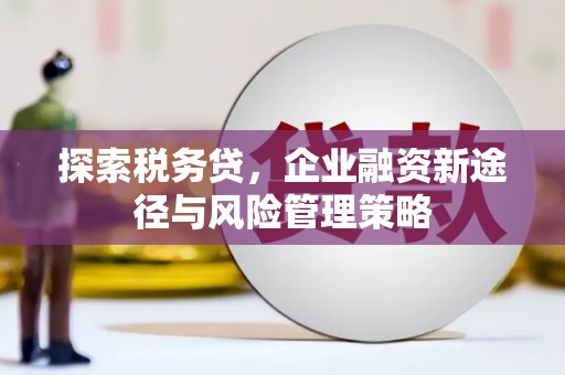 开江探索税务贷，企业融资新途径与风险管理策略