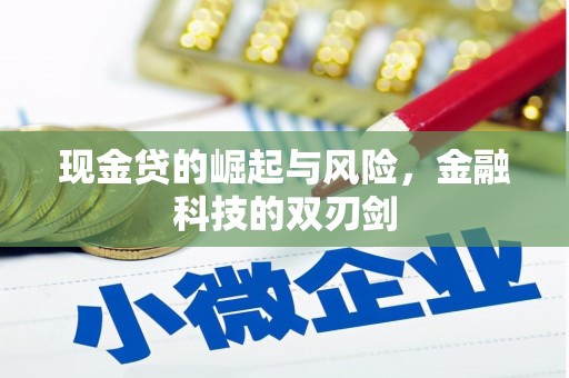 开江现金贷的崛起与风险，金融科技的双刃剑