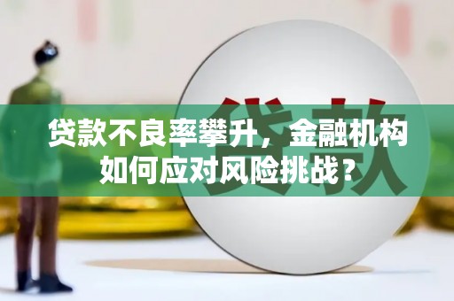 开江贷款不良率攀升，金融机构如何应对风险挑战？