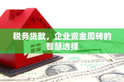 开江税务贷款，企业资金周转的智慧选择