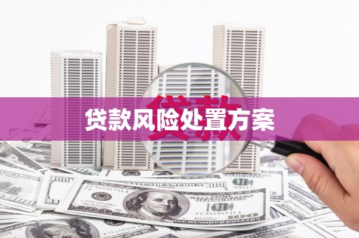 开江贷款风险处置方案