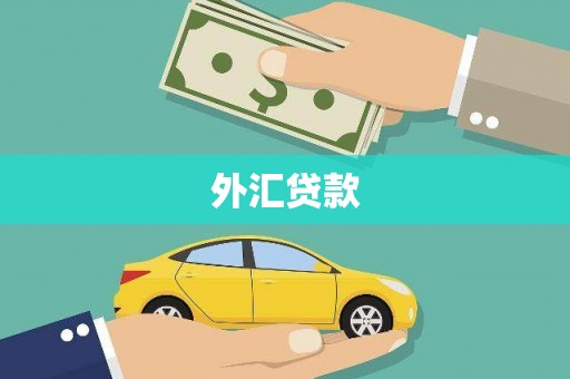 开江外汇贷款