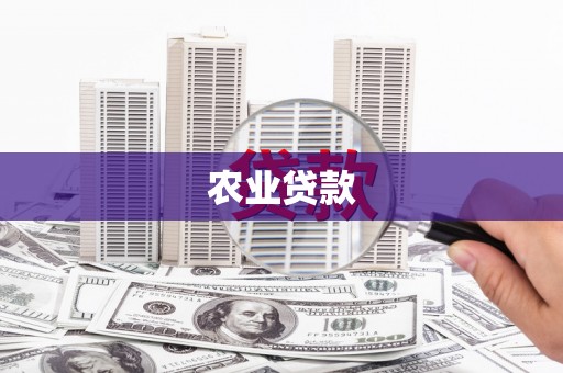开江农业贷款
