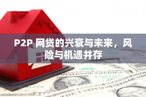 开江P2P 网贷的兴衰与未来，风险与机遇并存