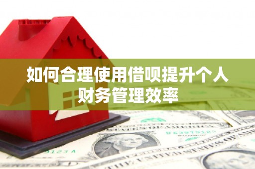 开江如何合理使用借呗提升个人财务管理效率