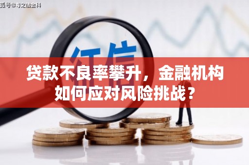 开江贷款不良率攀升，金融机构如何应对风险挑战？
