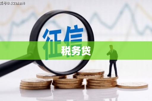 开江税务贷