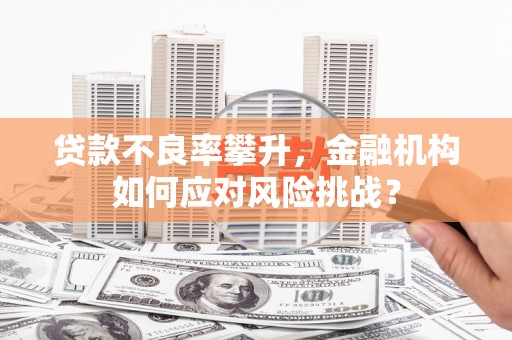 开江贷款不良率攀升，金融机构如何应对风险挑战？