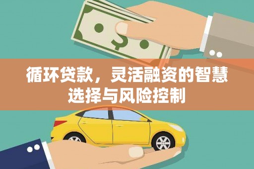 开江循环贷款，灵活融资的智慧选择与风险控制