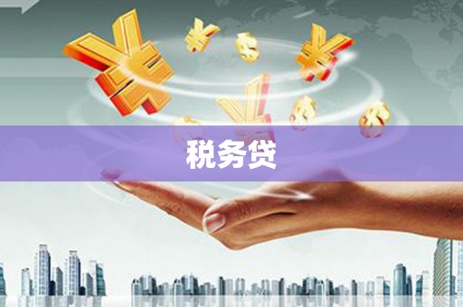 开江税务贷