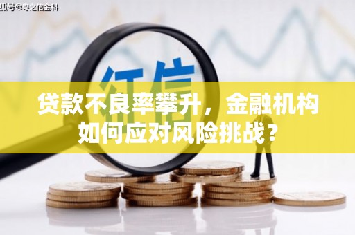 开江贷款不良率攀升，金融机构如何应对风险挑战？