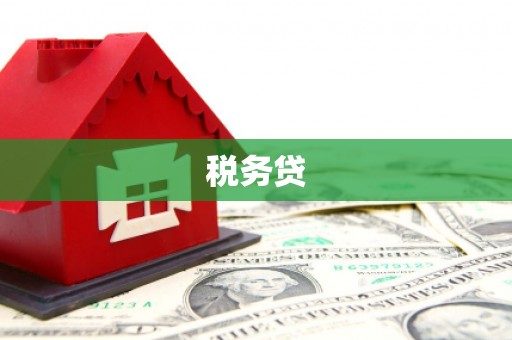 开江税务贷