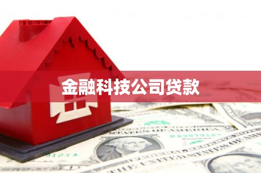 开江金融科技公司贷款