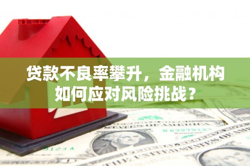 开江贷款不良率攀升，金融机构如何应对风险挑战？
