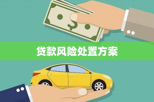 开江贷款风险处置方案
